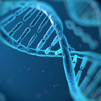 International Oncology Diploma 2024